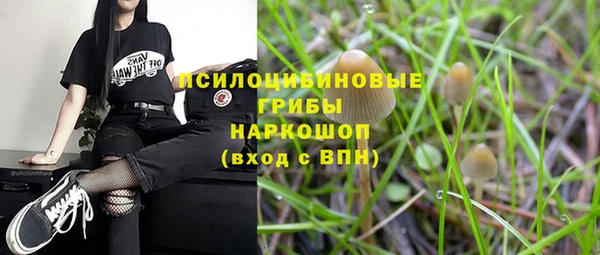 2c-b Кинешма