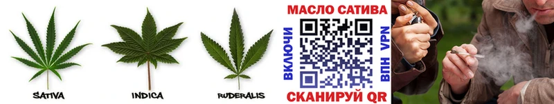 Купить  Завитинск  ТГК гашишное масло 