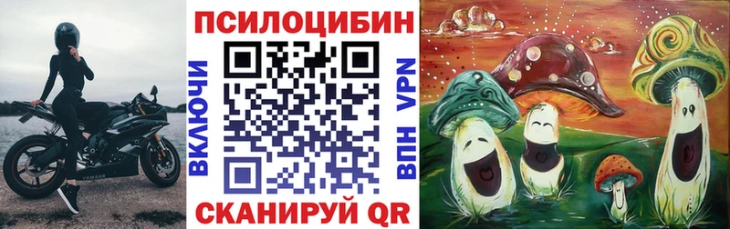 Галлюциногенные грибы прущие грибы  Купить закладки  Завитинск 