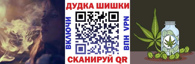 Купить закладки  Завитинск  Конопля SATIVA & INDICA 